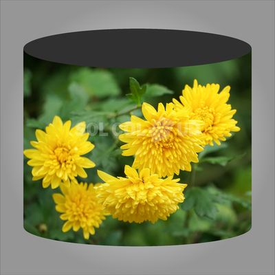 P1.8 Flexible Cylindrical LED Display Panel